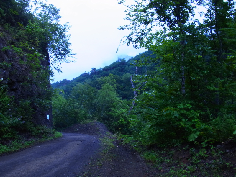 b0190242_13852100.jpg