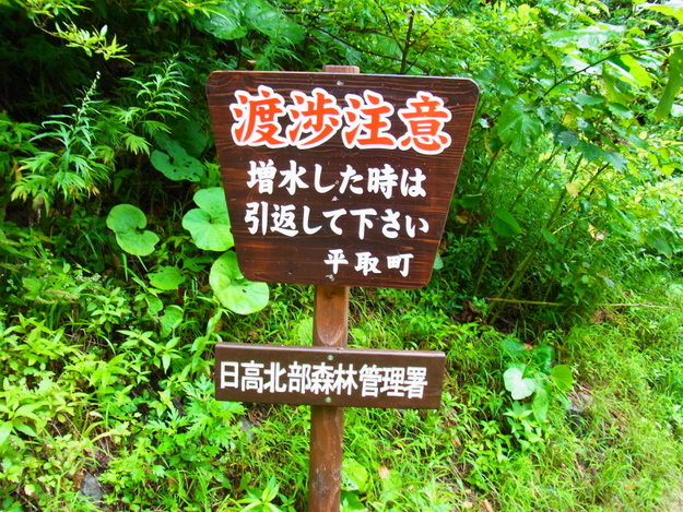 b0190242_1403566.jpg
