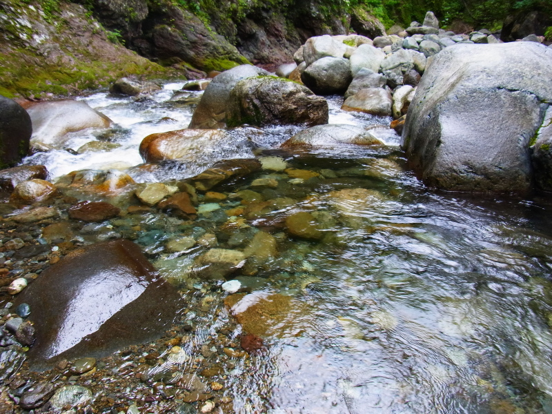 b0190242_1423112.jpg