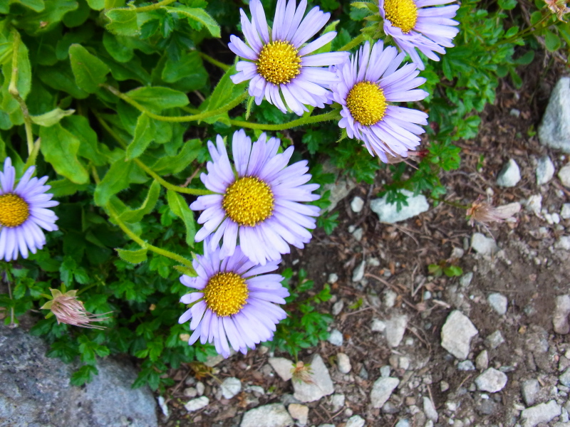 b0190242_1483877.jpg