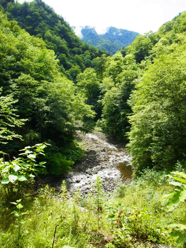 b0190242_1592757.jpg