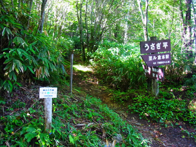 b0190242_2019216.jpg