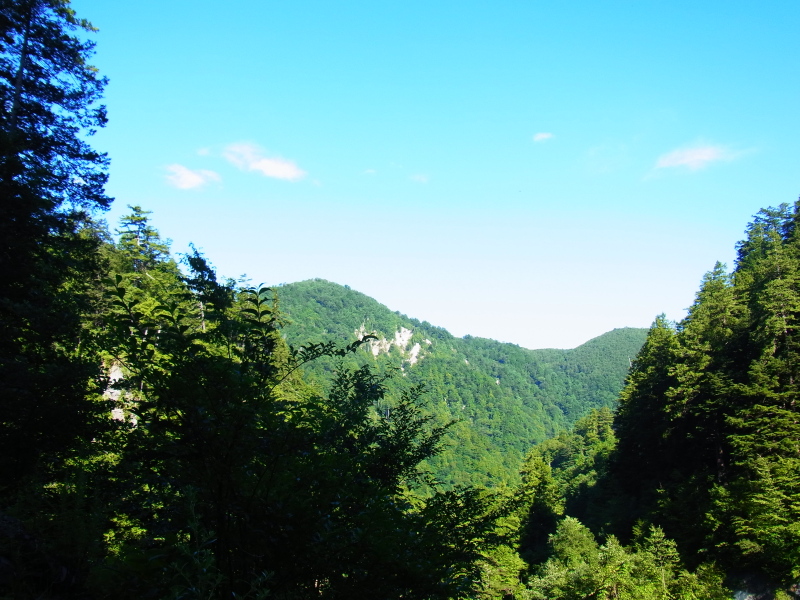 b0190242_201948.jpg