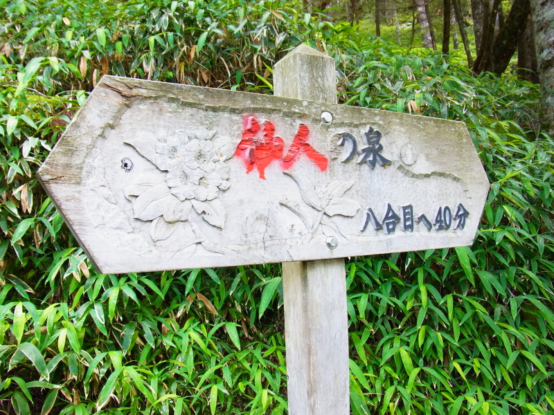 b0190242_2020097.jpg