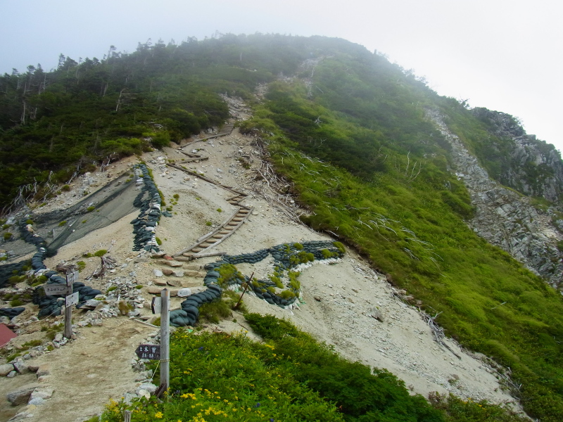 b0190242_20232679.jpg