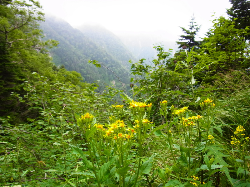 b0190242_20263357.jpg