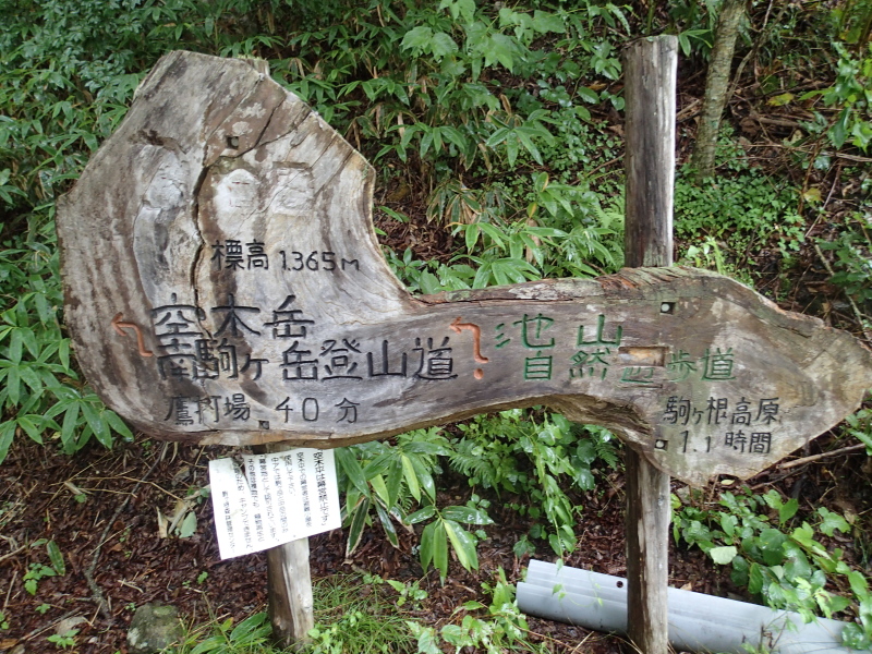 b0190242_20372934.jpg