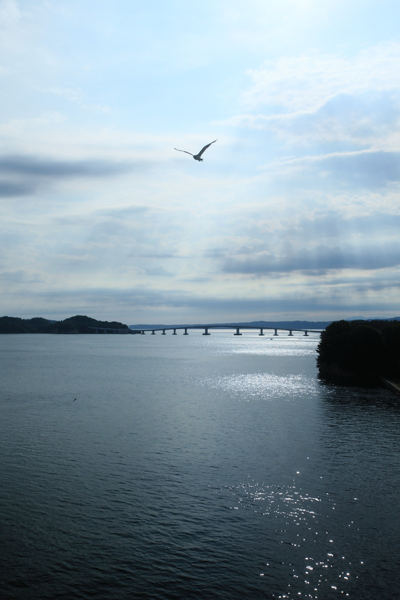d0135242_1924891.jpg