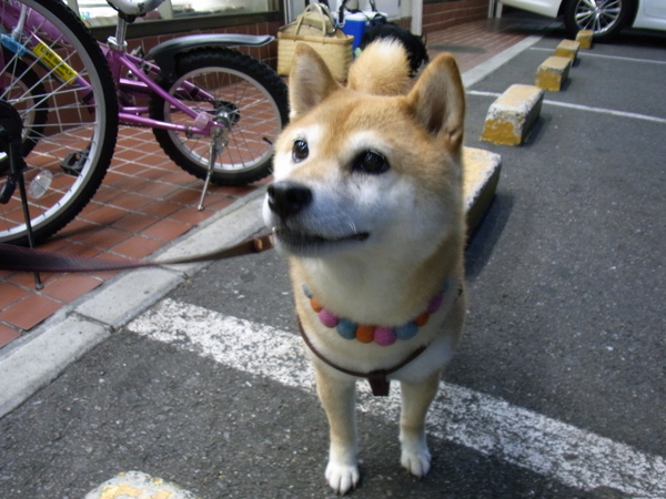 a0175545_236485.jpg