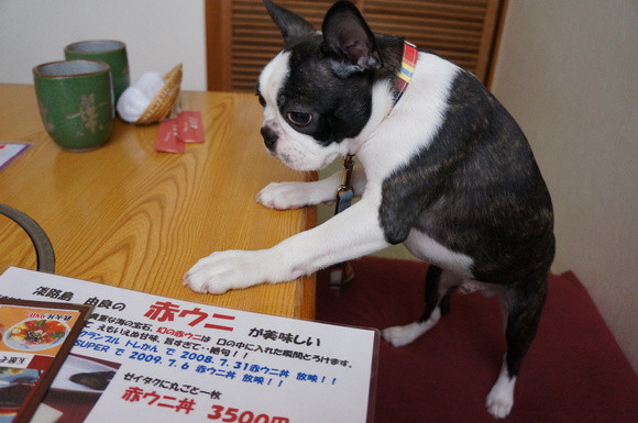 d0273046_2153158.jpg