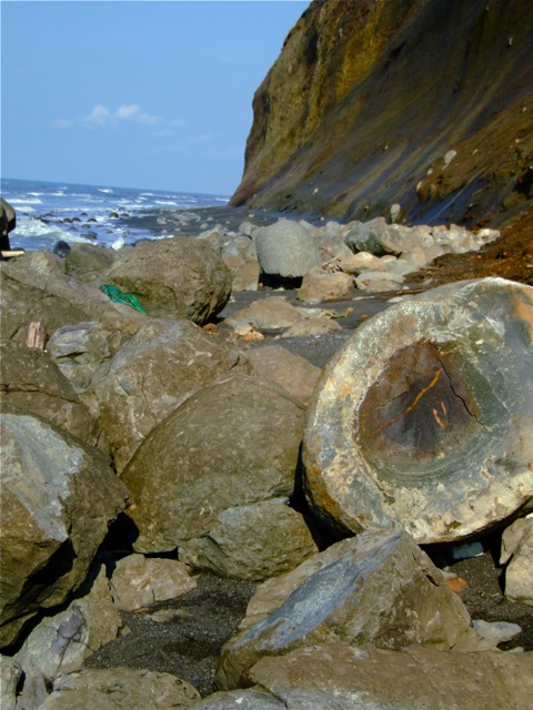 e0290546_12105215.jpg