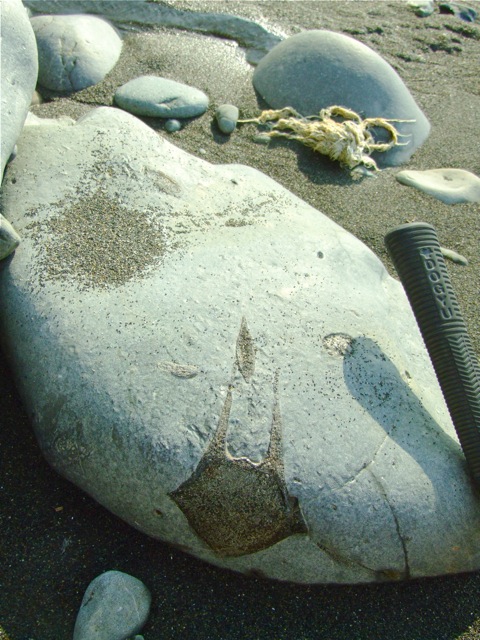 e0290546_12141877.jpg