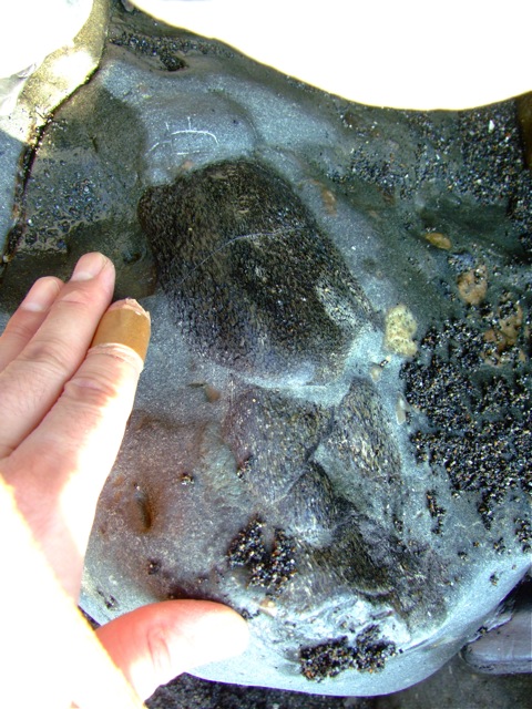 e0290546_1214532.jpg