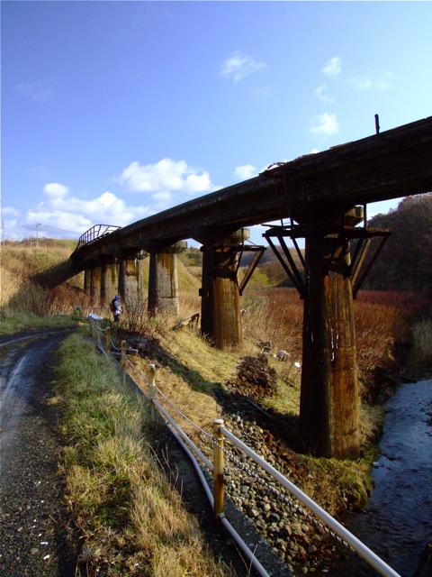e0290546_1275871.jpg