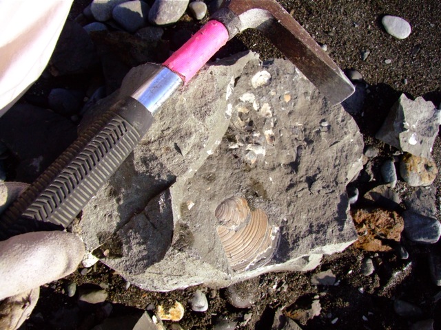 e0290546_129138.jpg