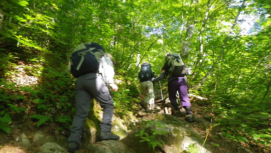 c0042847_1018973.jpg