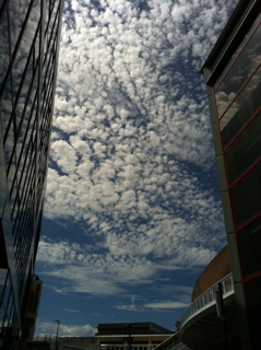 f0179947_022661.jpg