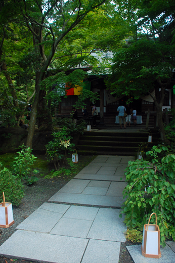 f0176458_74094.jpg
