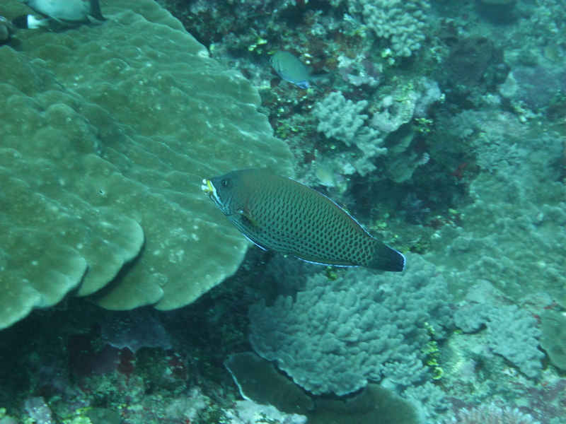 b0212967_16424463.jpg