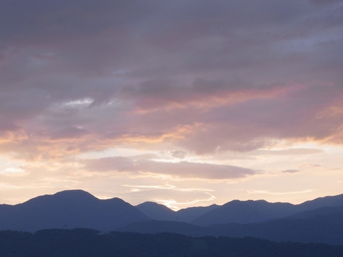 c0166668_815721.jpg