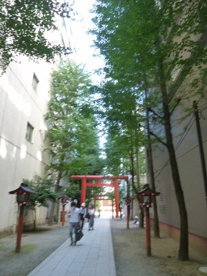 b0125570_1085393.jpg