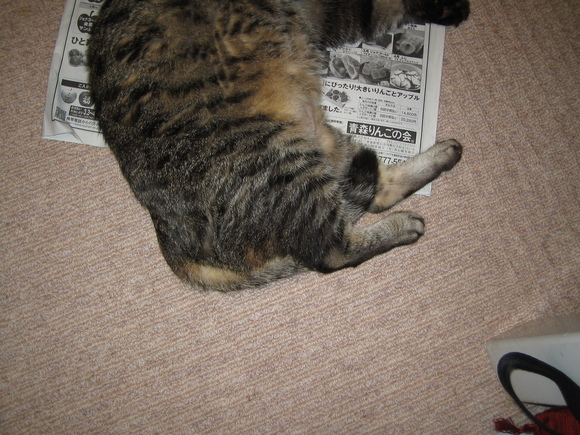 e0031572_8112276.jpg