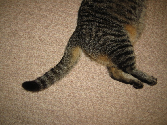 e0031572_811535.jpg