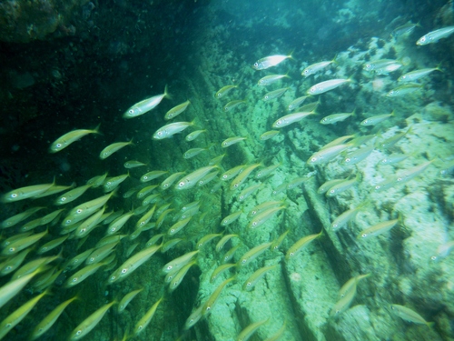 c0181073_2235443.jpg