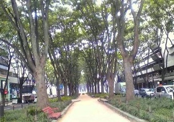 d0142773_13495151.jpg