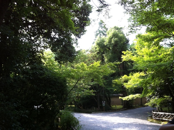 b0174284_1837740.jpg