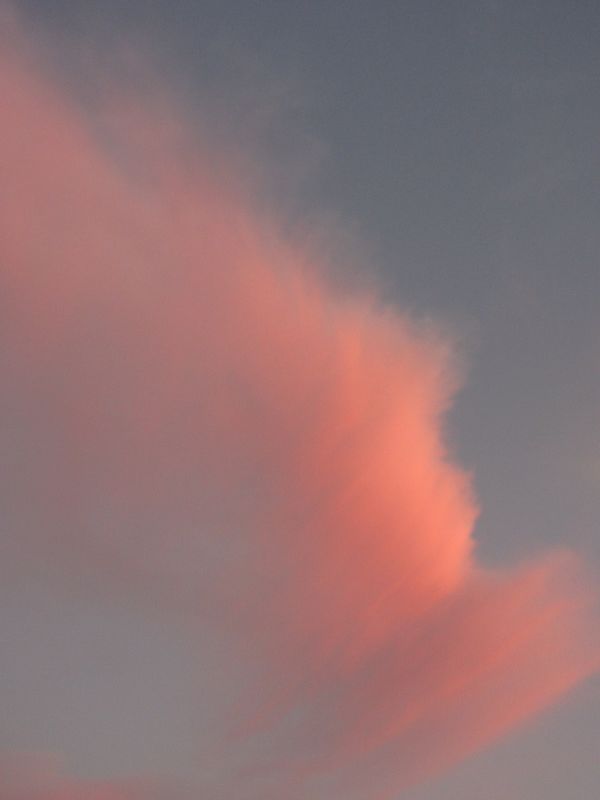 b0202185_14564584.jpg