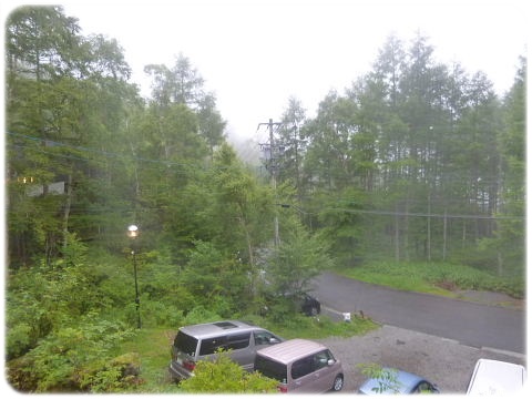 b0104592_11452478.jpg
