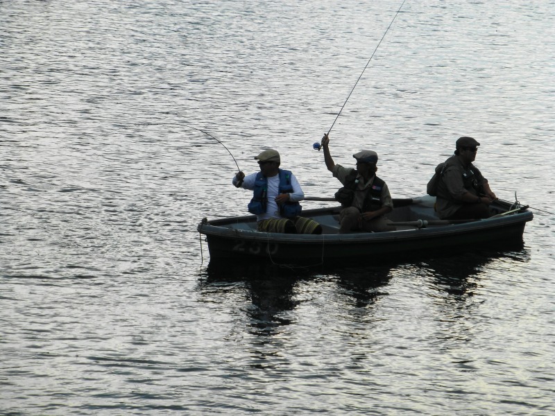 e0202393_7415934.jpg