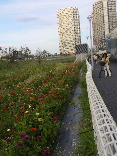 d0173197_13525085.jpg