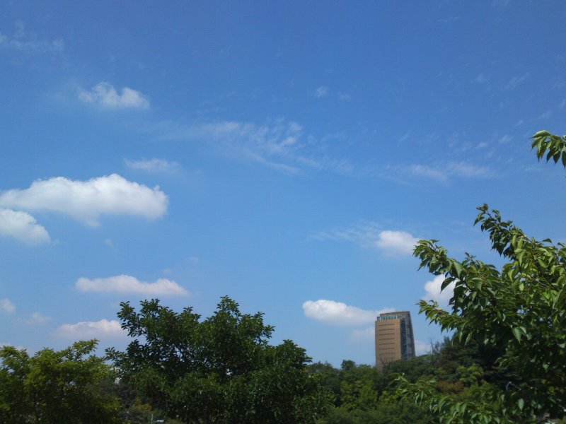 a0031000_15572919.jpg