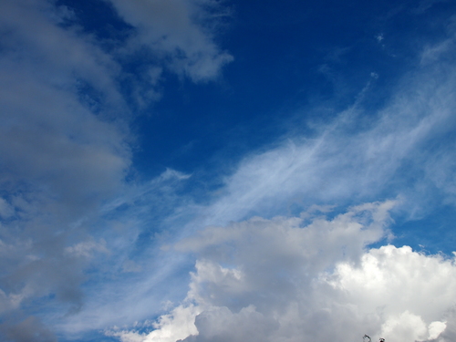 e0122100_9564466.jpg