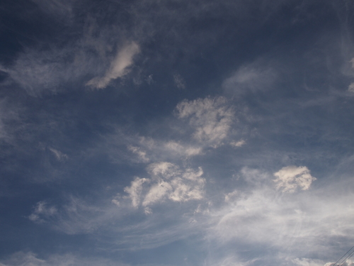 e0122100_9583242.jpg