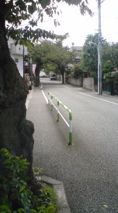 c0202101_07120.jpg