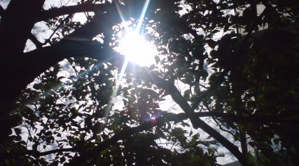 c0202101_07133.jpg