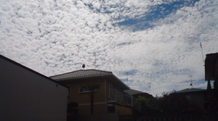 c0202101_07160.jpg