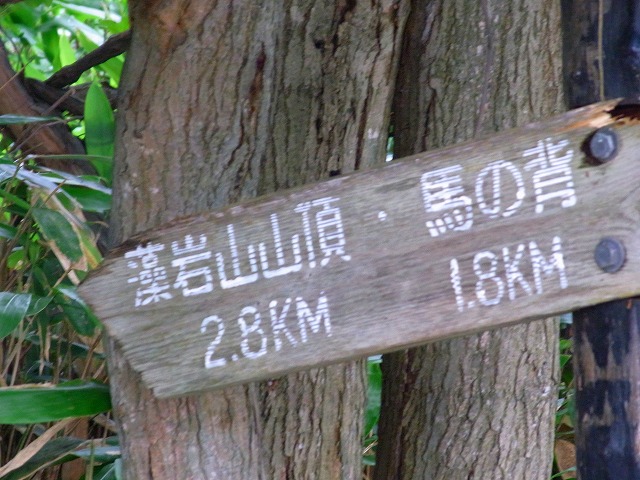 f0157901_2152513.jpg