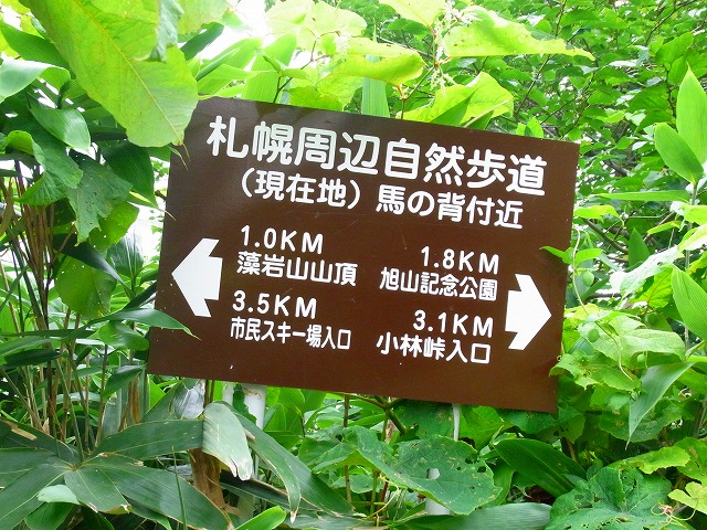 f0157901_21532247.jpg