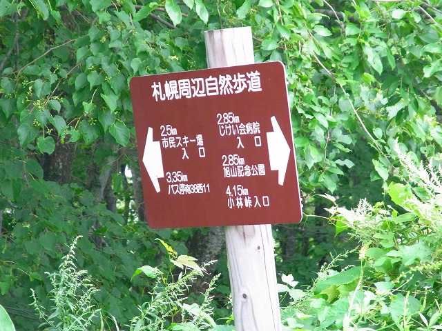 f0157901_21554510.jpg