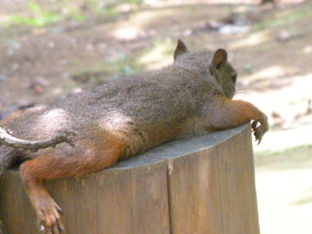 c0229402_012793.jpg