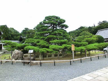 c0187004_1658933.jpg