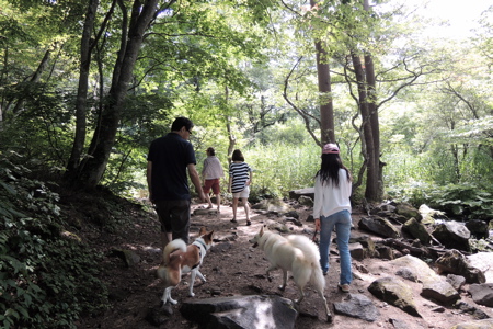 e0014507_107272.jpg