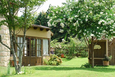 e0128909_1153863.jpg