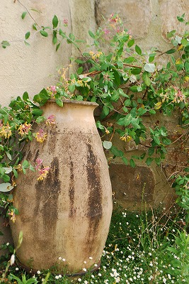 e0128909_1173015.jpg