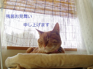 b0200310_2340521.jpg
