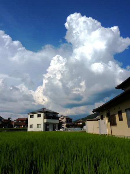 b0057612_22515195.jpg